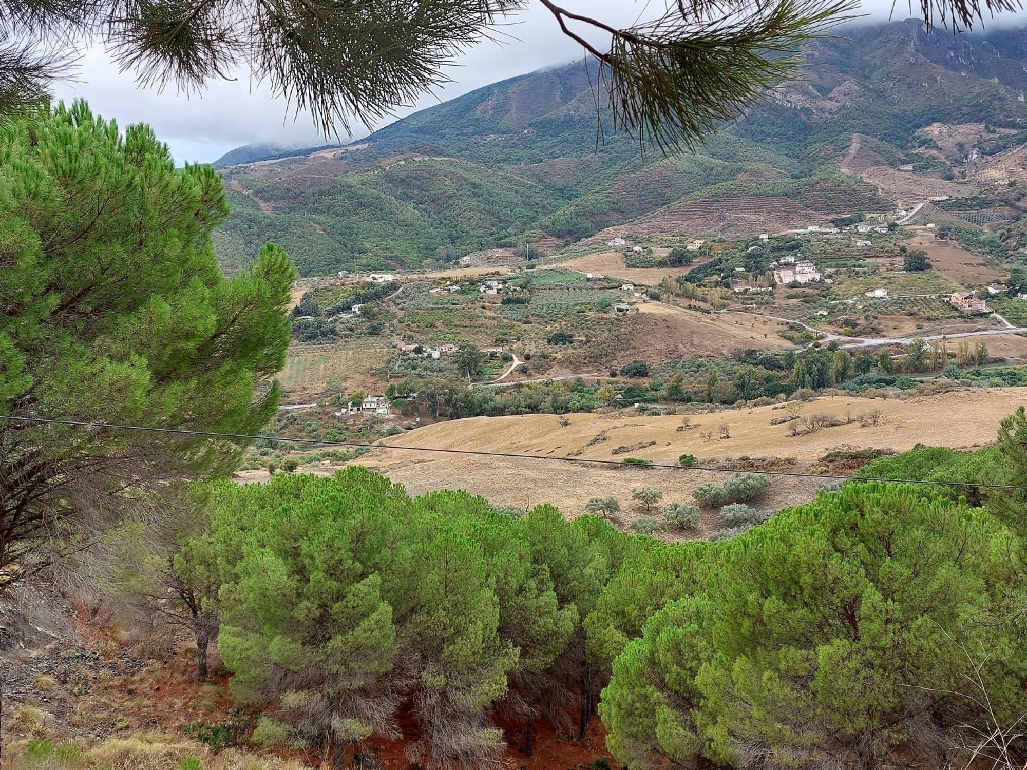 El Bufon De La Corte Carratraca Extérieur photo